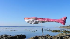 la Baleine Rose